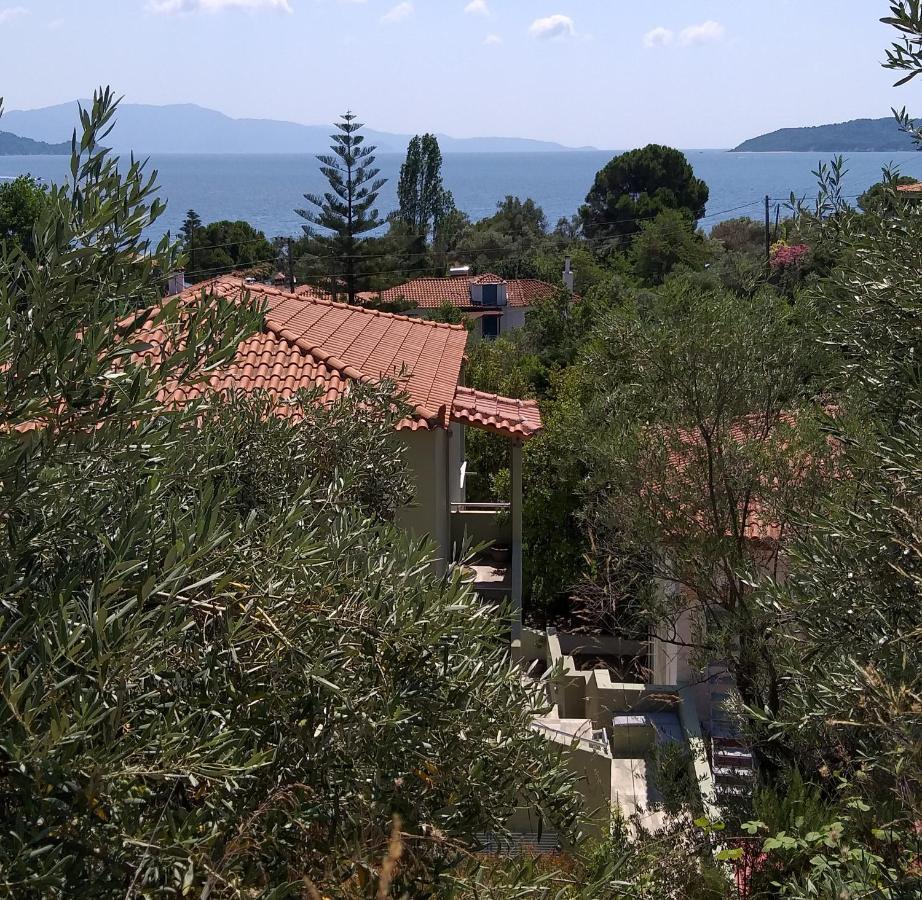 Villa Bloom Achladies  Zewnętrze zdjęcie